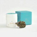A Golden State | Empanadas Diez | Big Buds | 3.5g