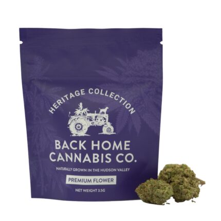 Back Home Cannabis Company | Gorilla Glue - 3.5g - Flower