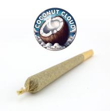 Coconut Cloud Preroll | Indica-Hybrid Coconut Cloud Preroll | Indica-Hybrid