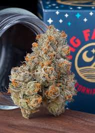 Fig Farms Krypto Chronic 1 Fig Farms Krypto Chronic 1