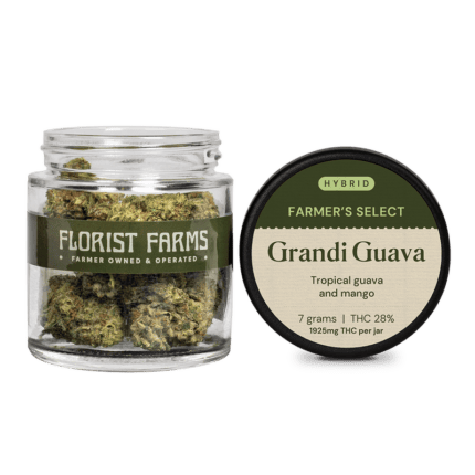 Florist Farms | Grandi Guava - 7g - Flower