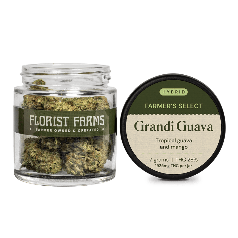 Florist Farms | Grandi Guava - 7g - Flower Florist Farms | Grandi Guava - 7g - Flower