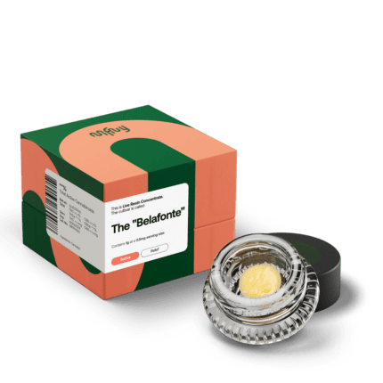 MFNY | The Belafonte Live Resin Badder - 2g - Concentrate