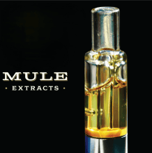 Mule Live Resin Glass Cartridge | Swiss Agent Sativa 1g Mule Live Resin Glass Cartridge | Swiss Agent Sativa 1g