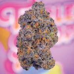 Berner's Cookies for sale