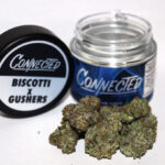 Biscotti x Gushers Indoor