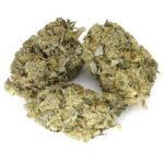 Blue Fin Tuna Strain