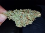 Blue Magic marijuana strain