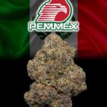 Pemmex Strain