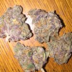 Buy Rainbow Delight Strain