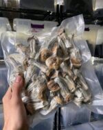 Penis Envy Mushrooms - Image 2