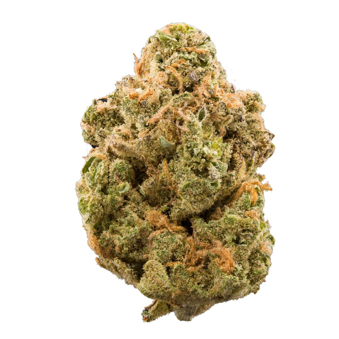 Girl-scout-cookies-strain Buy Girl scout cookies strain