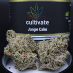 Jungle Cake Strain