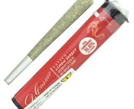 Lemon Sorbet Pre Roll Joint