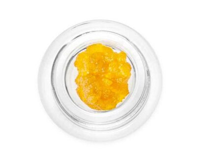 Zookie Land Live Resin