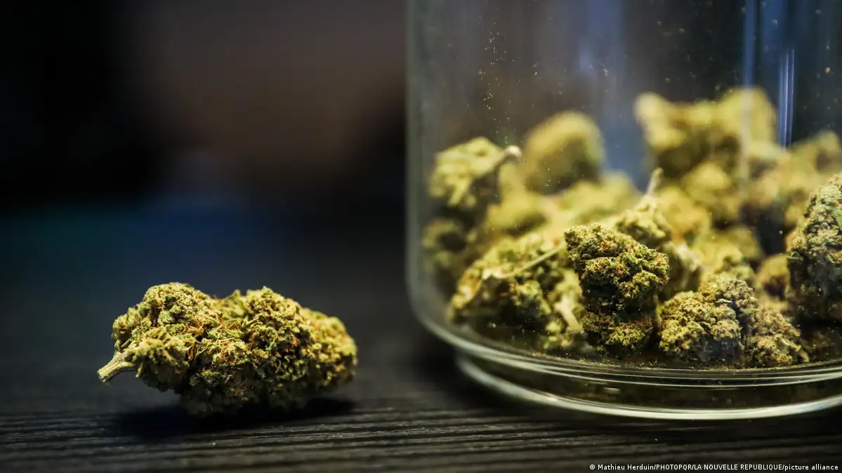 Buy marijuana in Frankfurt