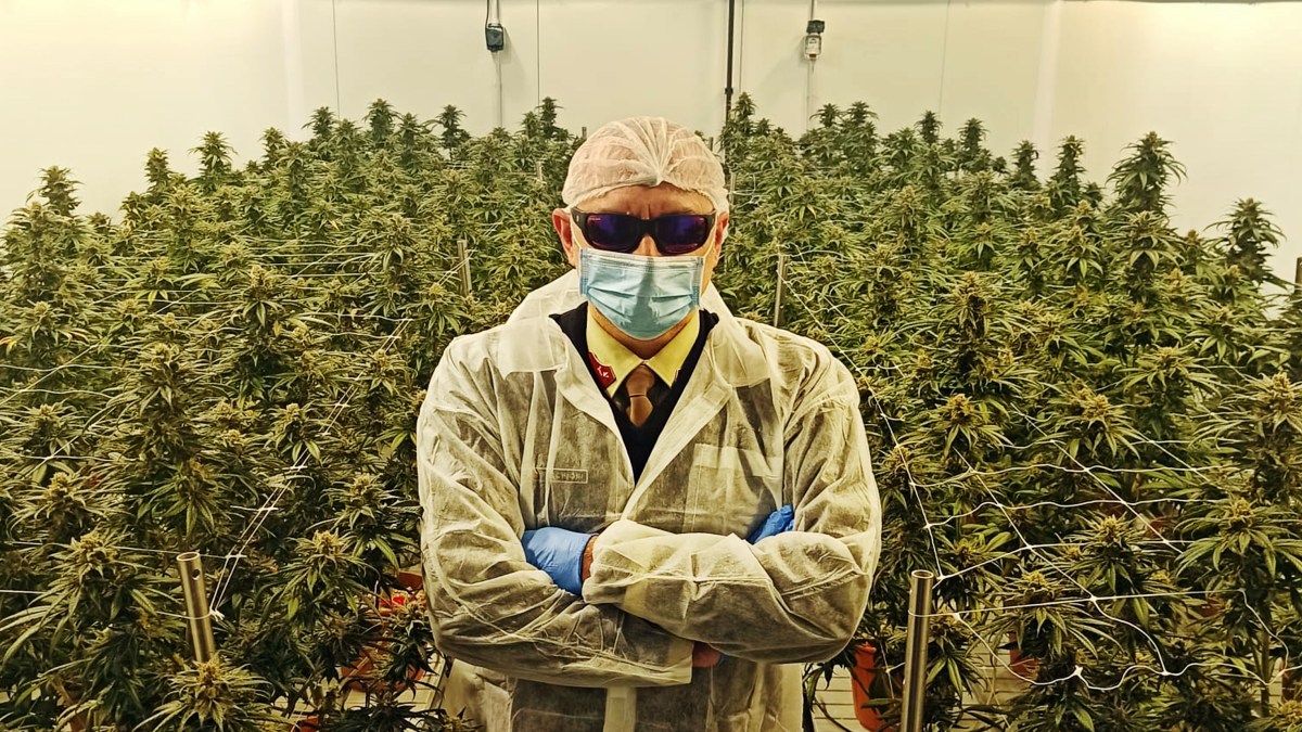 Buy high grade cannabis in Italy