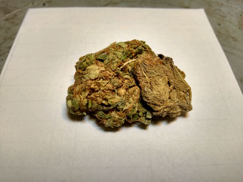 buy cannabis in Zadar