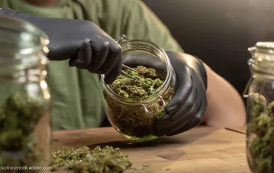 Order weed in Stuttgart