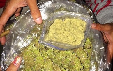 Order weed legally in Frankfurt