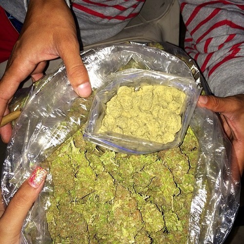 Order weed legally in Frankfurt