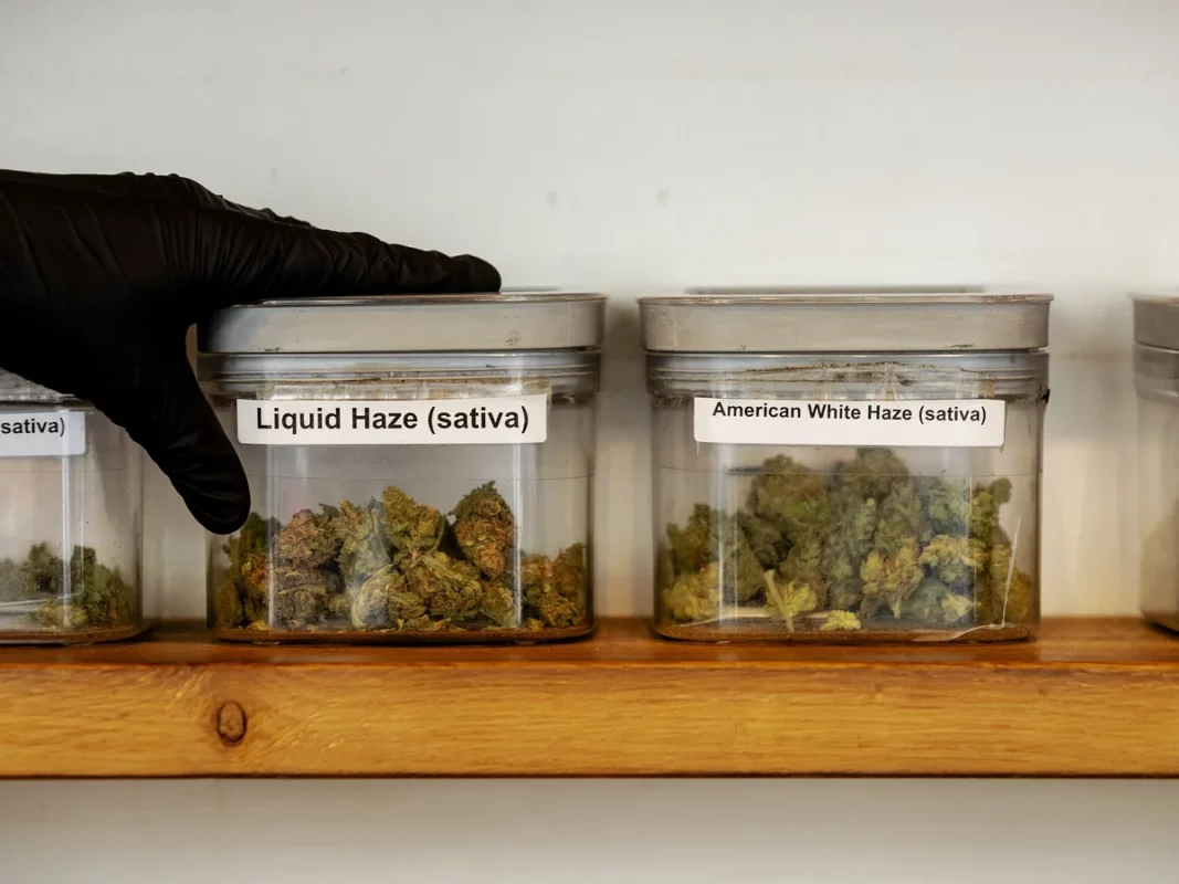 buy cannabis legally in the Netherlands