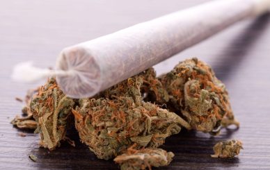 legally buy weed in Dresden