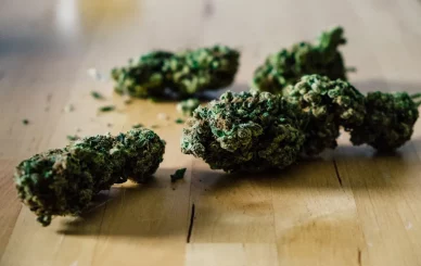 buy weed in Mexico City