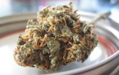 buy weed legally in Bangkok