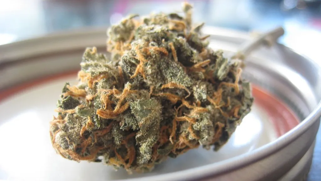 buy weed legally in Bangkok