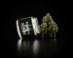 3C Cannabis – 3C – Rainbow Beltz – 3.5g – 3.5g Premium Indoor Flower
