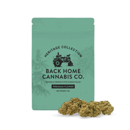 Back Home Cannabis Company | Jack Herer - 3.5g - Flower