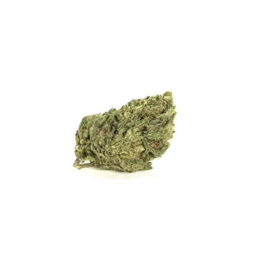 Biscotti 14g Biscotti 14g