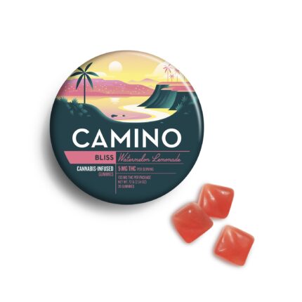 Camino | Watermelon Lemonade (Bliss) - 100mg Edible