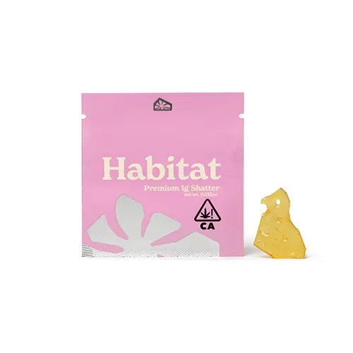 Champagne Shatter Champagne Shatter