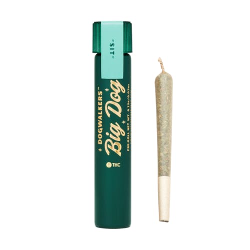 Dogwalkers | Brownie Scout - Big Dogs .75g - Preroll Dogwalkers | Brownie Scout - Big Dogs .75g - Preroll