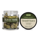 Florist Farms | Grandi Guava - 7g - Flower
