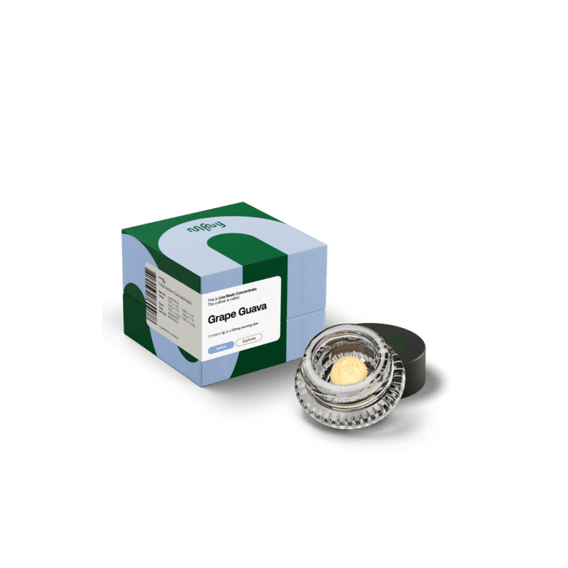MFNY | Grape Guava Live Resin Badder - 1g Concentrate