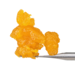 Tropical Rosé (S) - Live Resin